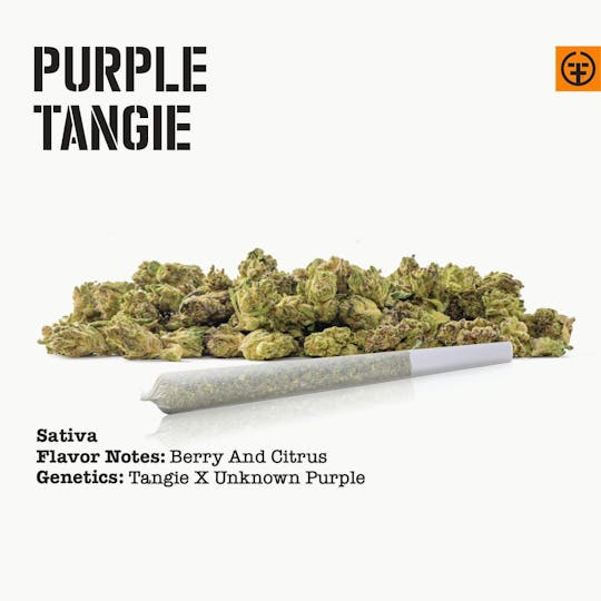 Farmer and the Felon - Purple Tangie - Eighths (3.5g) - 1