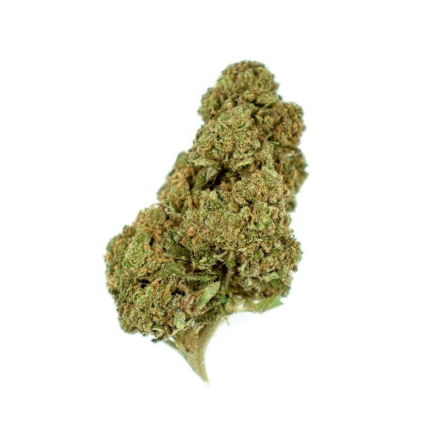 CBD Organics - Amnesia CBD - 1