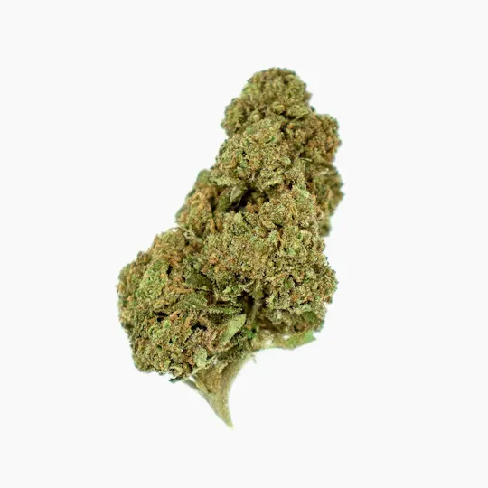 CBD Organics - Amnesia CBD - 1