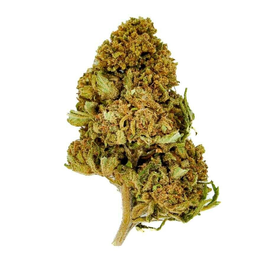 CBD Organics - Harlequin CBD - 1