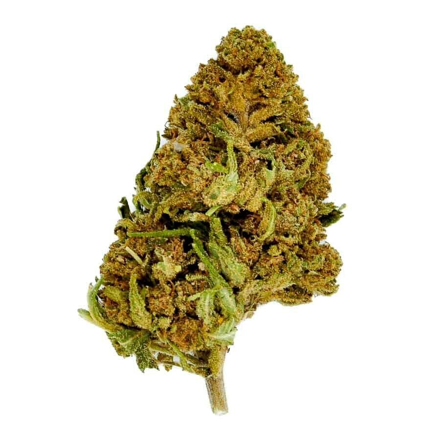 CBD Organics - Jack Herer CBD - 1
