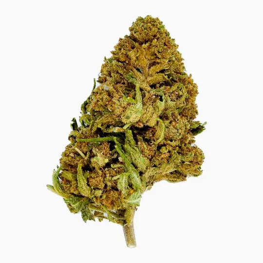 CBD Organics - Jack Herer CBD - 1