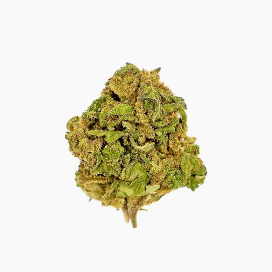 CBD Organics - Watermelon CBD - 1