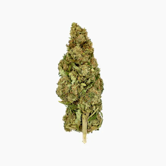 CBD Organics - Haze Berry CBD - 1