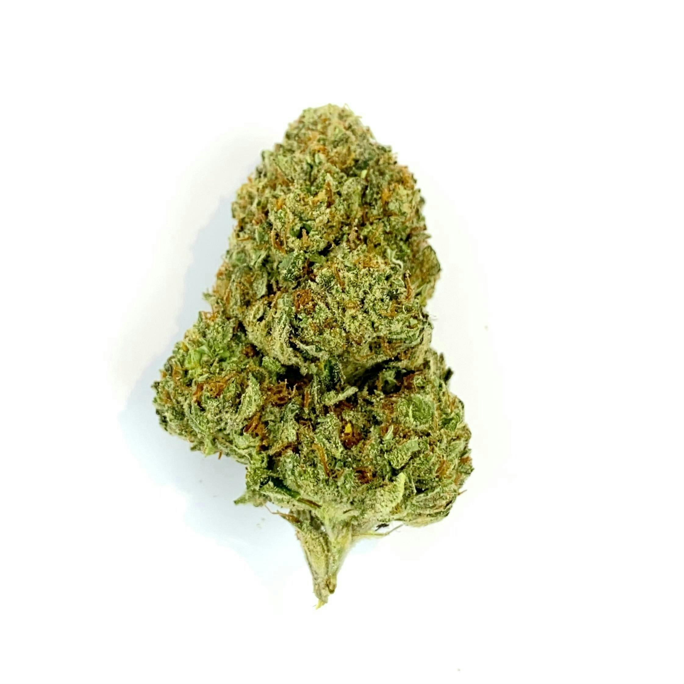 Indico - Motor Breath 15 - Firefly Organics - 1