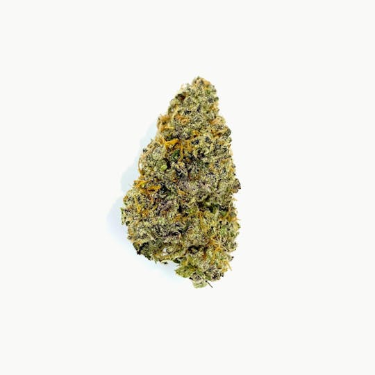 Indico - Cherry Pie Breath - 1