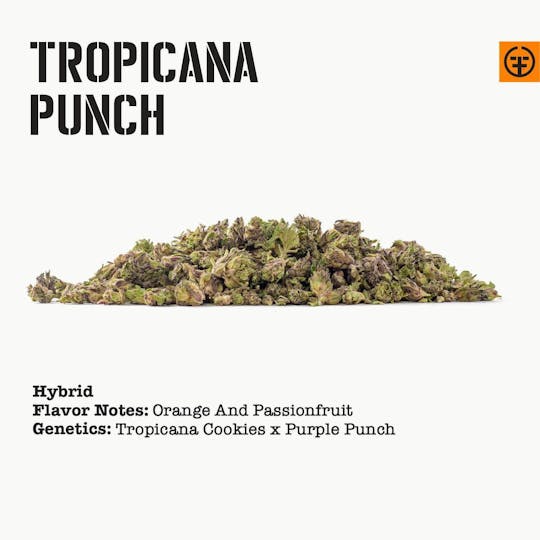 Farmer and the Felon - Tropicana Punch - Smalls (14.5g) - 1