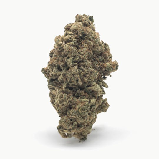 Hempster - Amnesia - 1