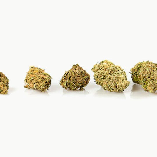 Hempster - Blue Moon - 1