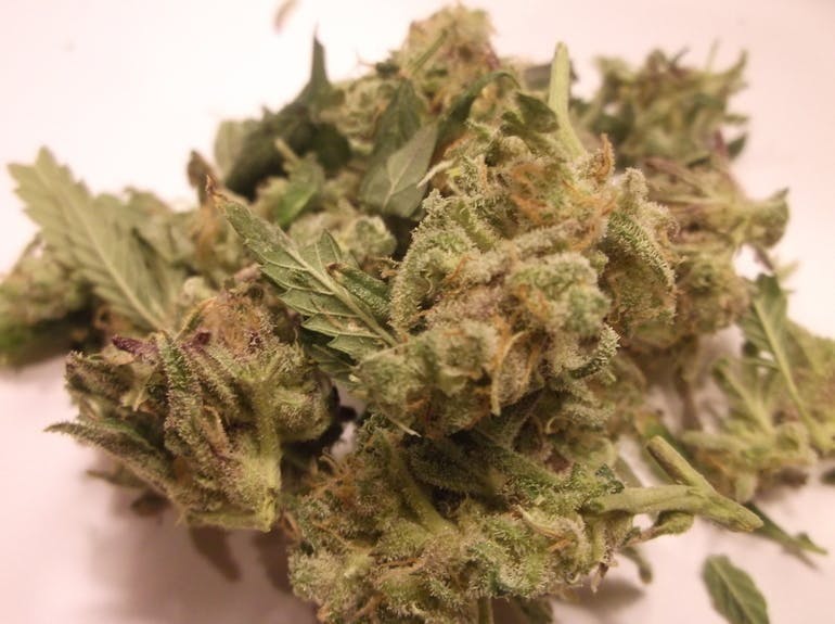 Ziggyz Pharms - Purple Power (Lower Shelf) - TAX INCLUDED - 1