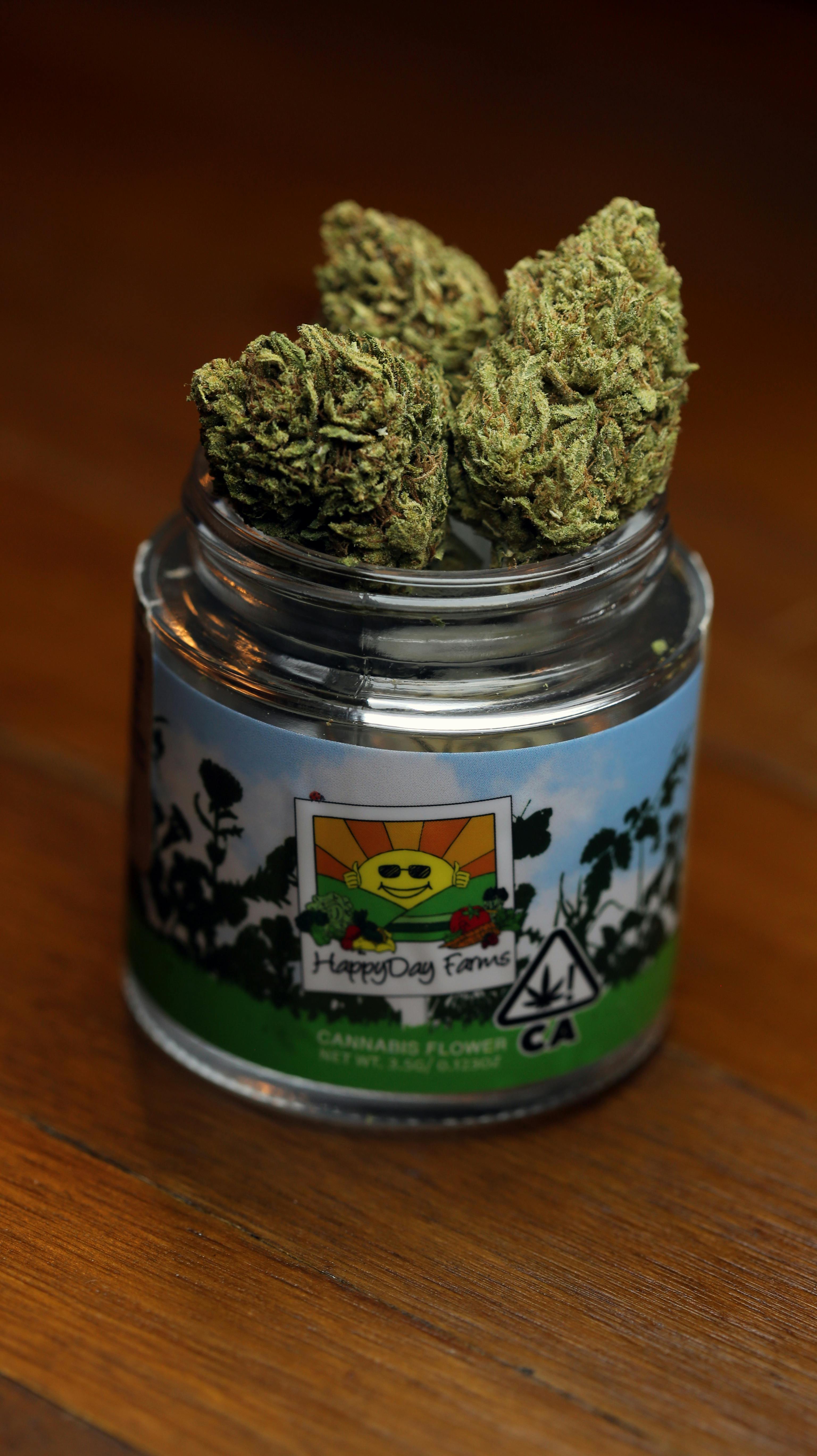 Madrone - Avenue of the Giants (6% Terps) - 1