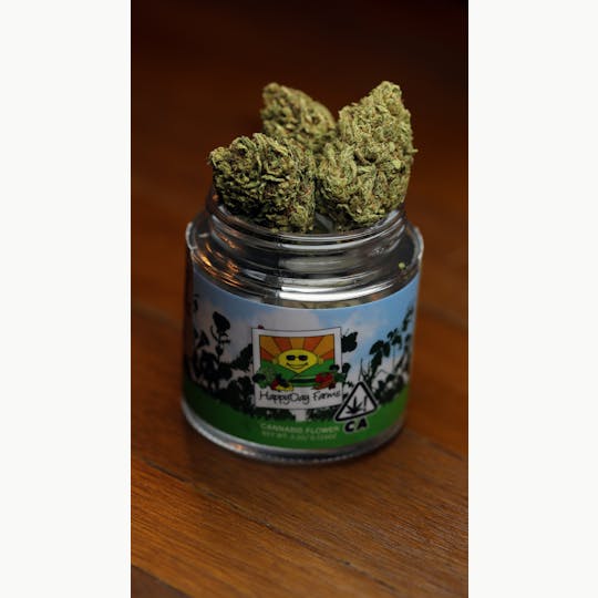 Madrone - Avenue of the Giants (6% Terps) - 1