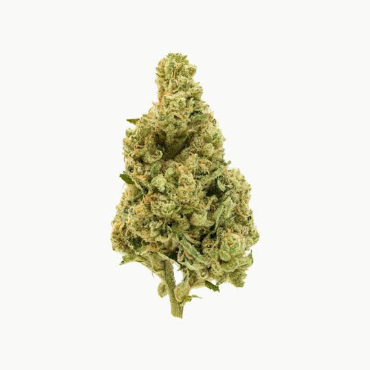 Flow Kana - Sour Chaos Infused Preroll - 1