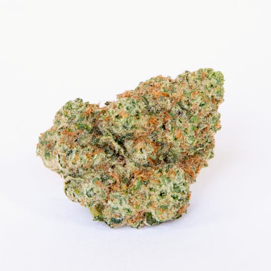 Pure Beauty - Momo | 3.5g Indoor - 1