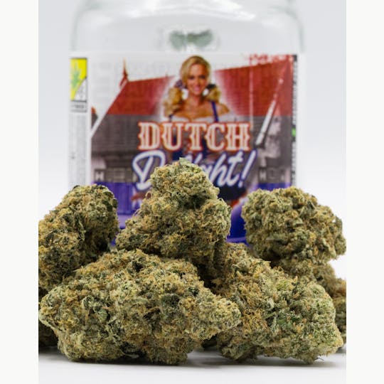 Phat Panda - Dutch Delight - WA - 1