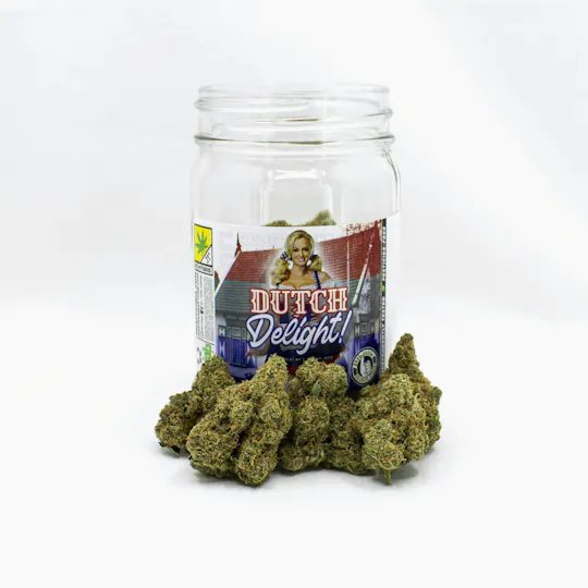 Phat Panda - Phat Panda | Dutch Delight | Big Buds - 1