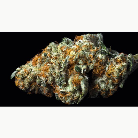 OG Medicinals - Bee Cookies - 1