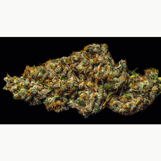 OG Medicinals - Casey Jones - 1