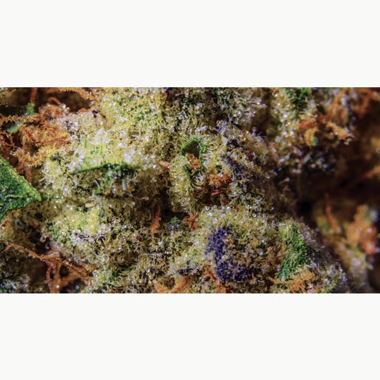 OG Medicinals - Cookie Dough - 1