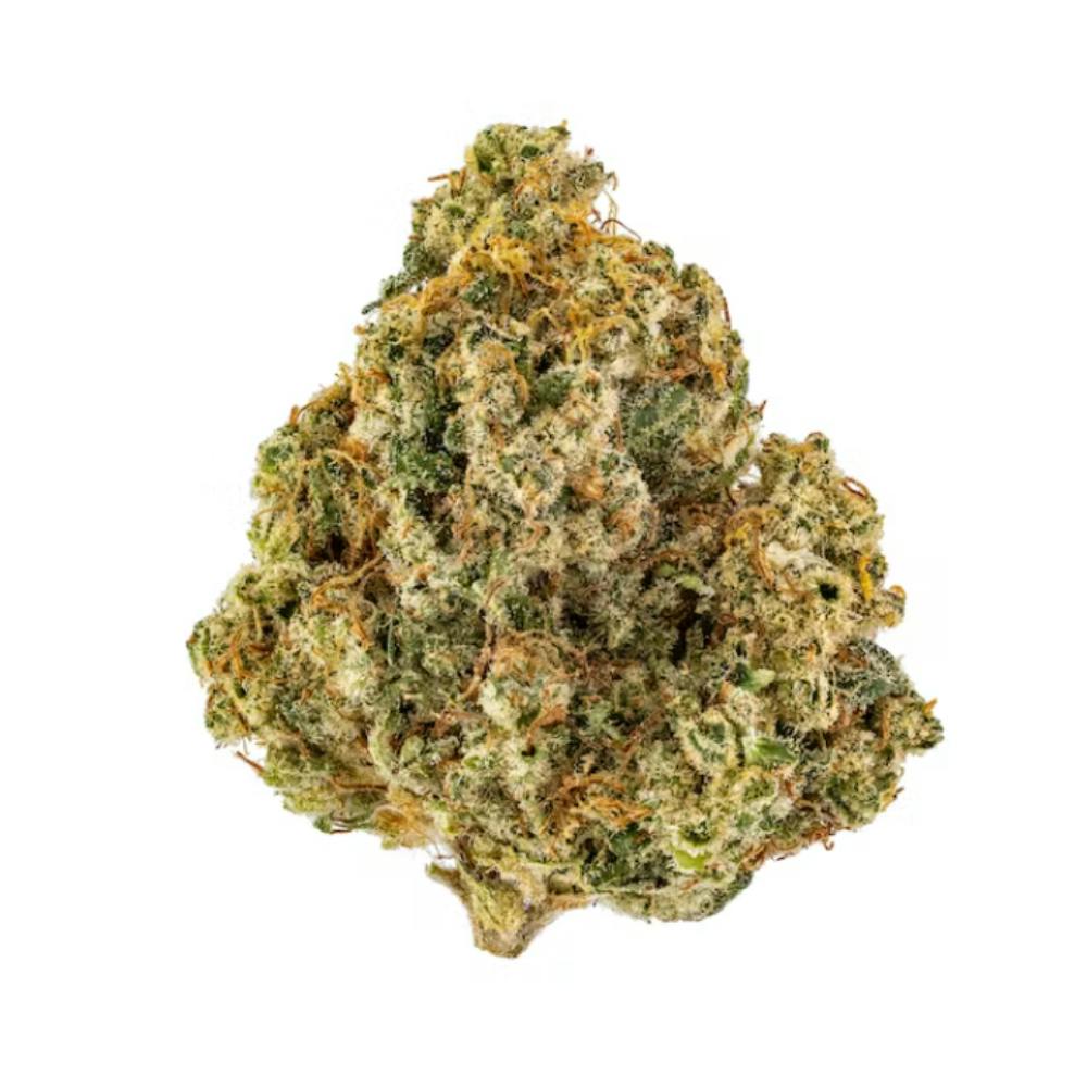 FloraCal Farms - Rollins | Sativa Pre-Roll [1g] - 1