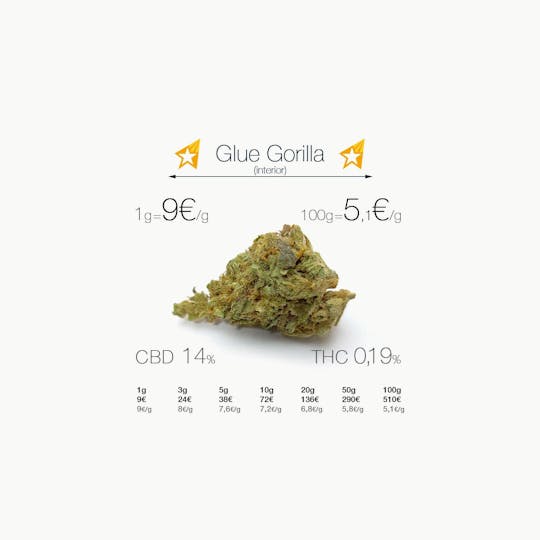 CogolloCBD.es - Glue Gorilla - 1