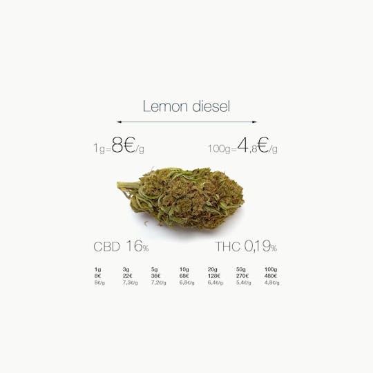 CogolloCBD.es - Lemon Diesel - 1