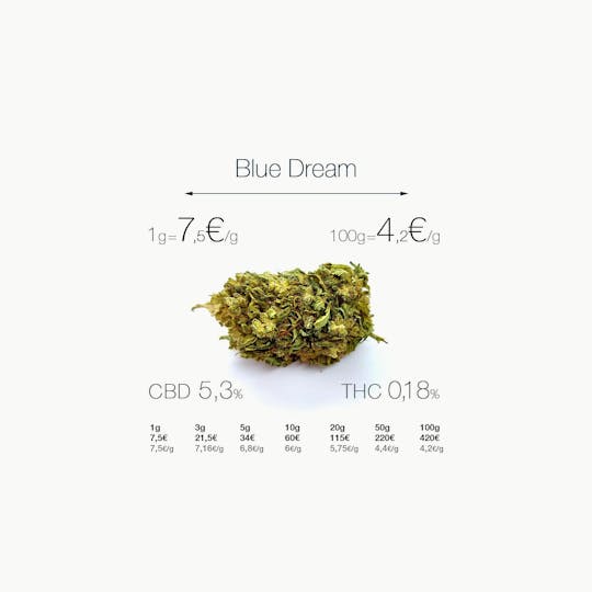 CogolloCBD.es - Blue Dream - 1