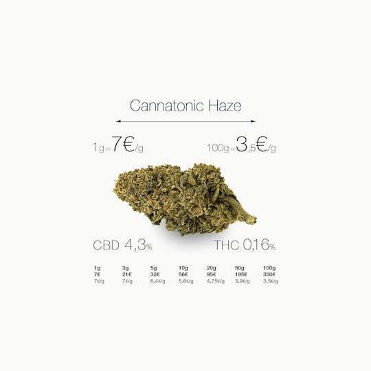 CogolloCBD.es - Cannatonic Haze - 1