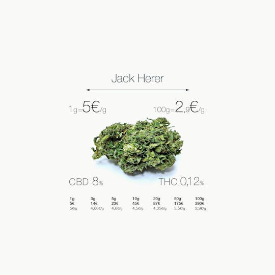 CogolloCBD.es - Jack Herer - 1