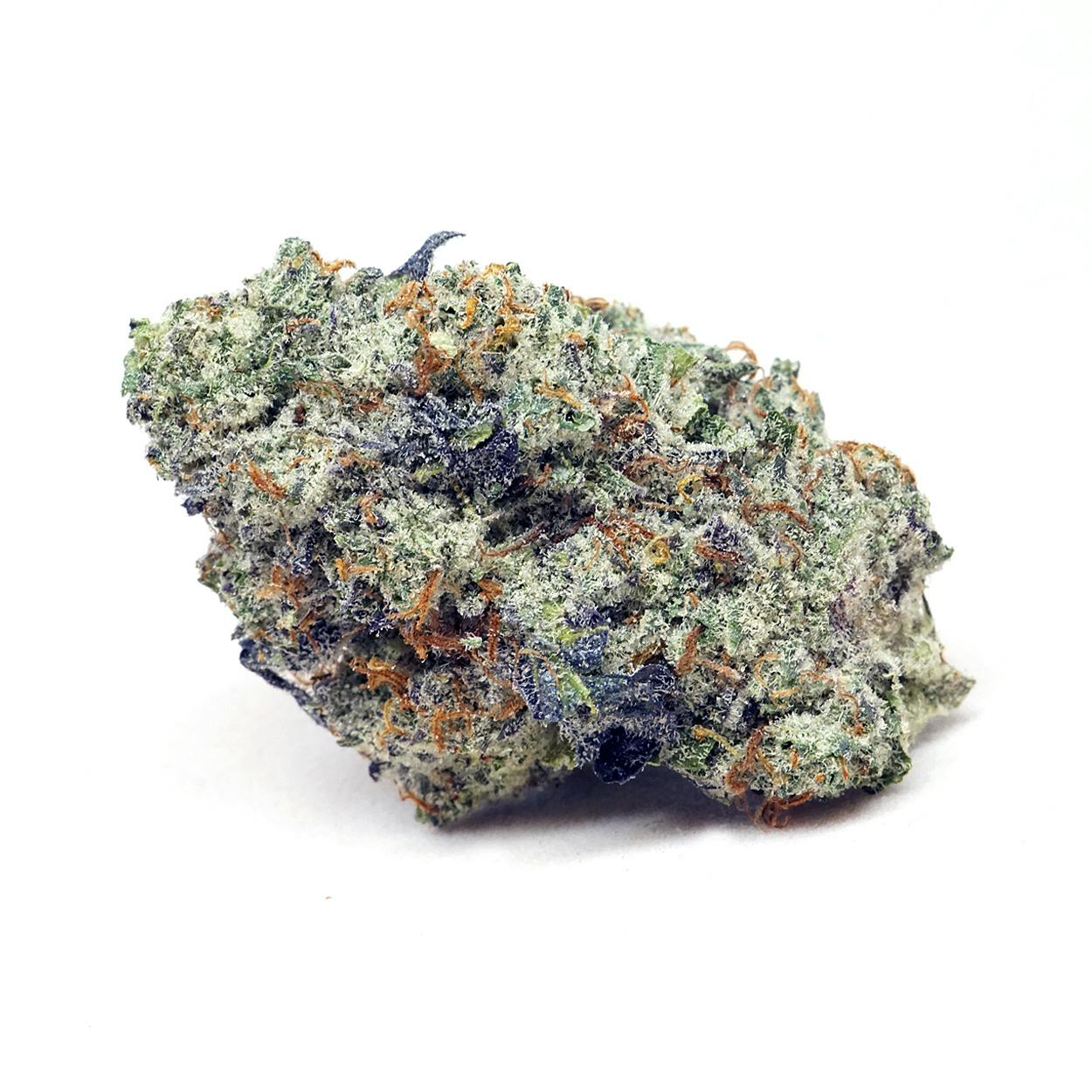 High Tide Organics - Galactic Glue | Indoor - 1