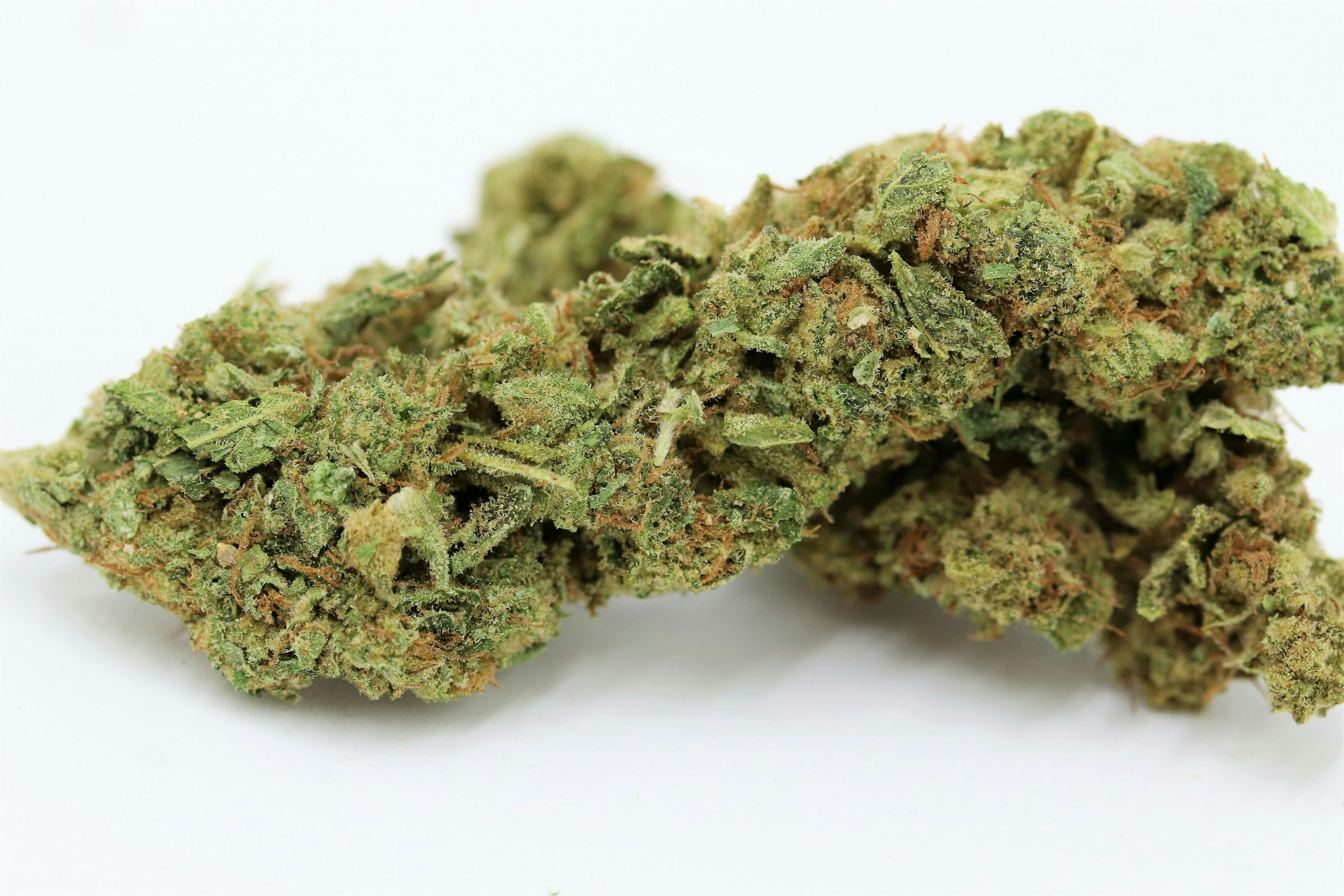 Elevation 207 - Gorilla Glue **Greenhouse Special** - 1