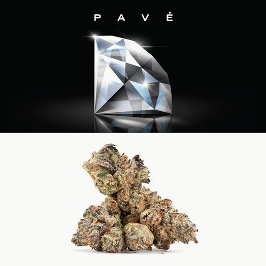 Cookies Michigan - Pave - 1