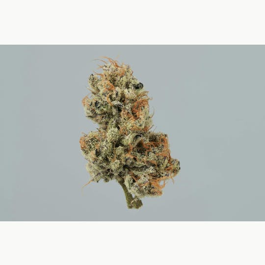 Ripple Wellness - Flower - Tier 1 - Dosi - Dos - 1
