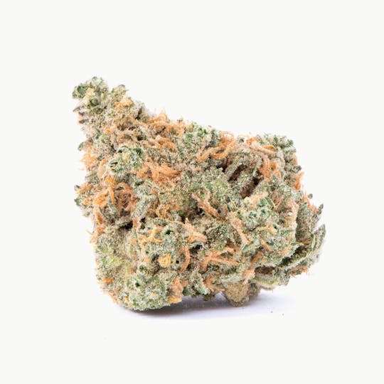 Pure Beauty - Double Dream | 3.5g Indoor - 1