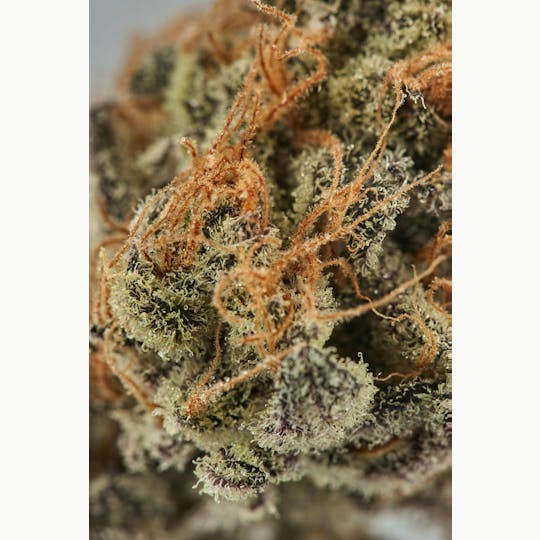 Ripple Wellness - Flower - Tier 1 - Thugs Breath - 1