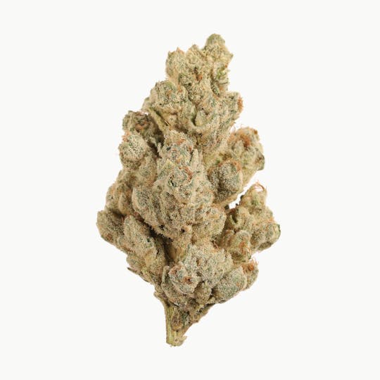 Seed & Smith Cannabis - Headbanger - 1