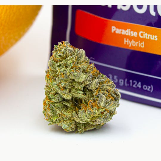 Herbology - Paradise Citrus 1/8th Flower - 1