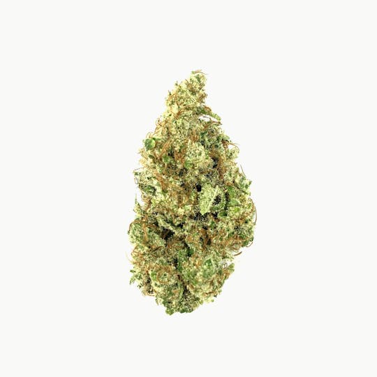 Indico - DeadHead OG - 1