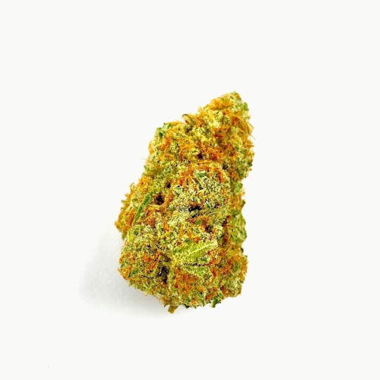 Indico - Galactic Jack - 1