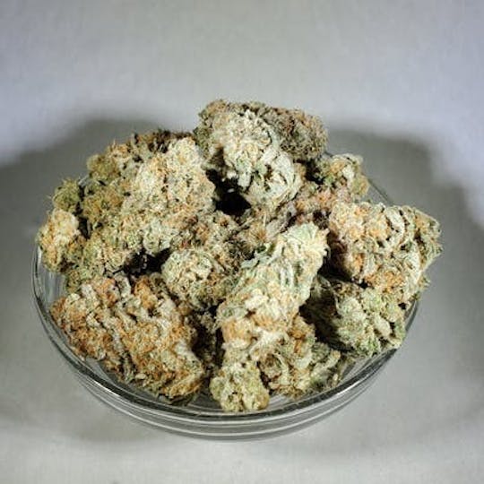 Organic Goods - Alpenglow - 1