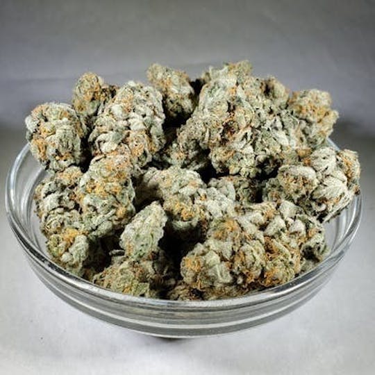 Organic Goods - Golden Lemon - 1