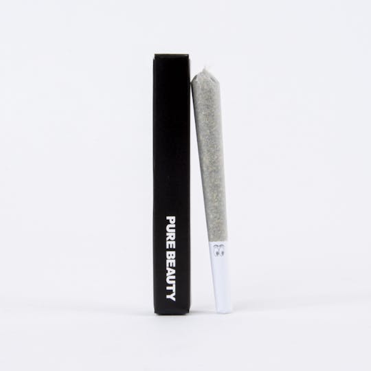 Pure Beauty - Bermuda Triangle | Single (1g) Pre-Roll | 100% Indoor Flower - 1