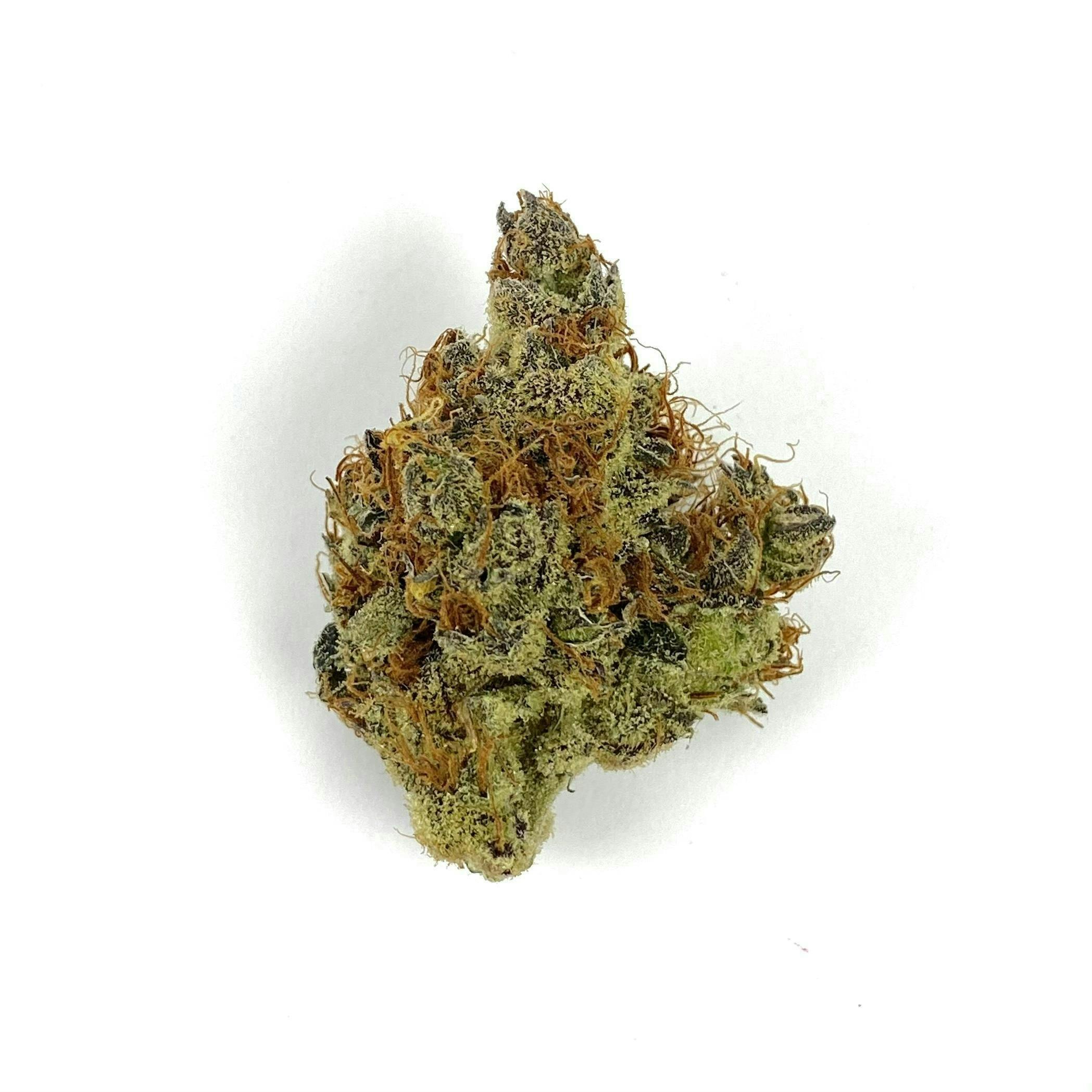 Indico - Fly Tape - 1