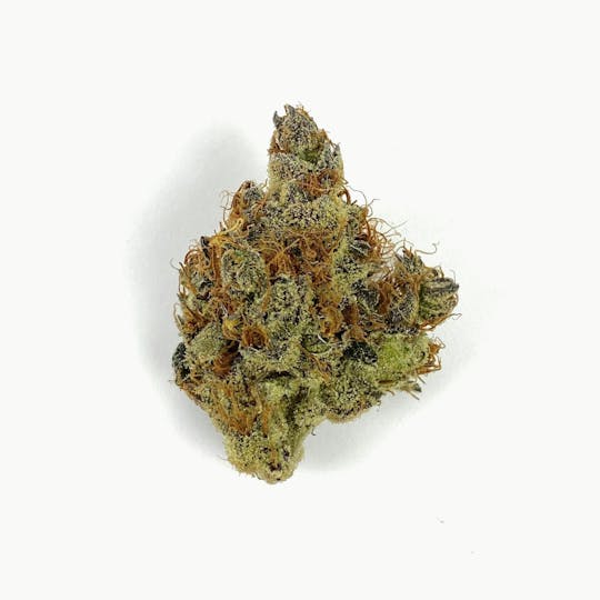 Indico - Fly Tape - 1