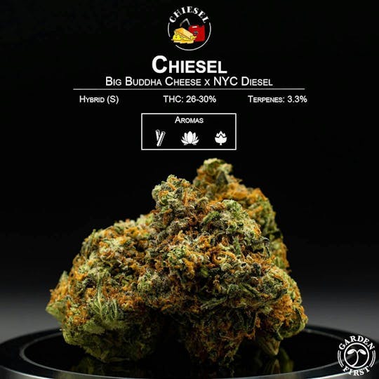 Garden First Cannabis - Chiesel by Garden First - 1