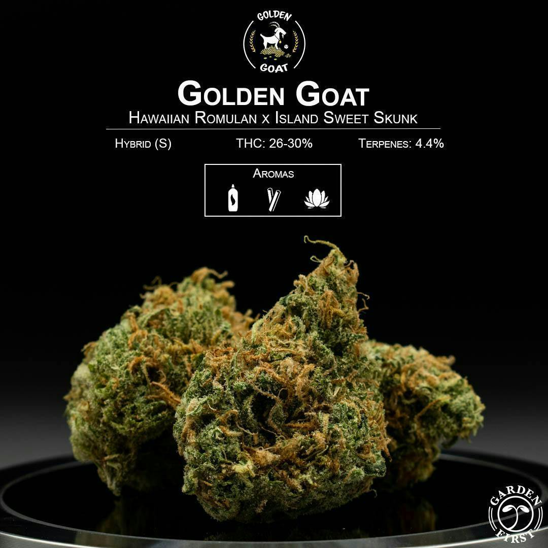 Garden First Cannabis - Golden Goat by Garden First - 1