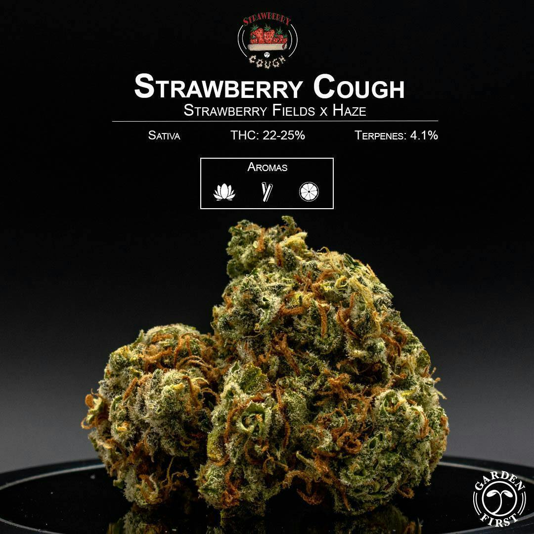 Garden First Cannabis - Strawberry Cough by Garden First - 1