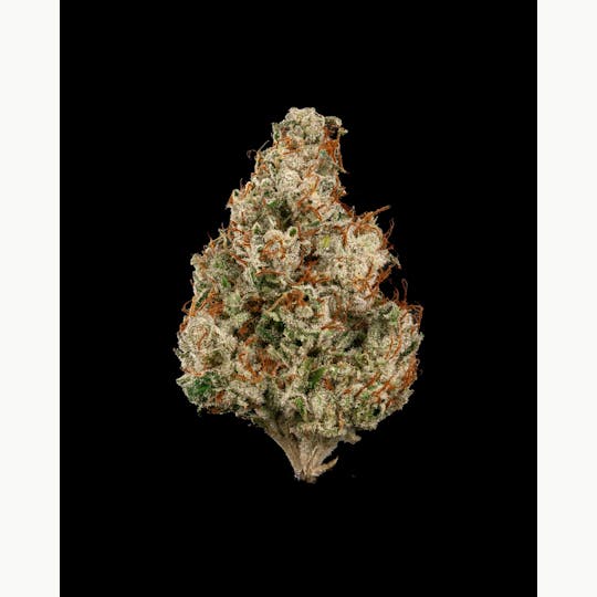 Garden First Cannabis - Rocky Mountain Moonshine by Garden First - 1
