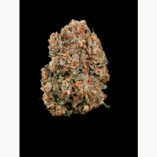 Garden First Cannabis - Gelato Cake by Garden First - 1