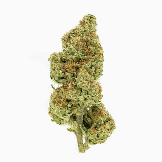 Flow Kana - Purple Punch 1g Preroll - 1